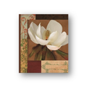 Kangaroo Photo Album 12080 80 photos 4x6 (2 Pack)