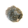 RYC-055318