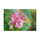 SONY SEL2470GM2 FE 24-70 mm f / 2,8 g lentille II