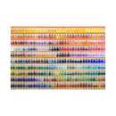 Sony SEL2470GM2 FE 24-70mm f/2.8 GM II Lens