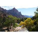 Sony FE 50mm f/1.4 GM Lens