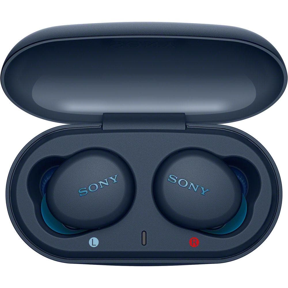 Sony WF-XB700 Truly Wireless Earbuds | Extra Bass | Canada