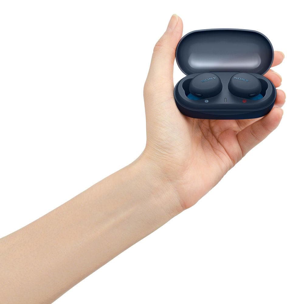 Sony WF-XB700 Truly Wireless Earbuds | Extra Bass | Canada
