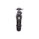 Benro Tortoise Columnless Carbon Fiber Zero Series Tripod with GX25 Ball Head