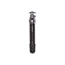 Benro Tortoise Columnless Carbon Fiber Two Series Tripod with GX30 Ball Head