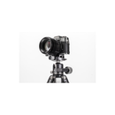 Benro Tortoise Columnless Carbon Fiber Two Series Tripod with GX30 Ball Head