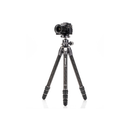 Benro Tortoise Columnless Carbon Fiber Two Series Tripod with GX30 Ball Head