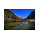 Laowa 15mm f/4 Macro Lens for Pentax K Mount