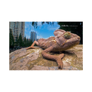 Laowa 15mm f/4 Macro Lens for Pentax K Mount