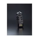 Zoom H6 All Black 6-Input / 6-Track Portable Handy Recorder with Single Mic Capsule (Black)