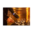 Zoom H6 All Black 6-Input / 6-Track Portable Handy Recorder with Single Mic Capsule (Black)