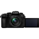 Panasonic Lumix G95 Mirrorless Camera with 12-60mm Lens