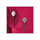Rycote White Undercovers - Pack de 30 utilisations