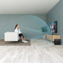 Sony HT-X9000F 2.1 channel 300W sound bar system for home theater