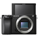 Sony a6100 Mirrorless Camera