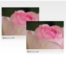 Panasonic Lumix G Macro 30mm f/2.8 Lens