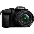 Panasonic Lumix G95 Mirrorless Camera with 12-60mm Lens