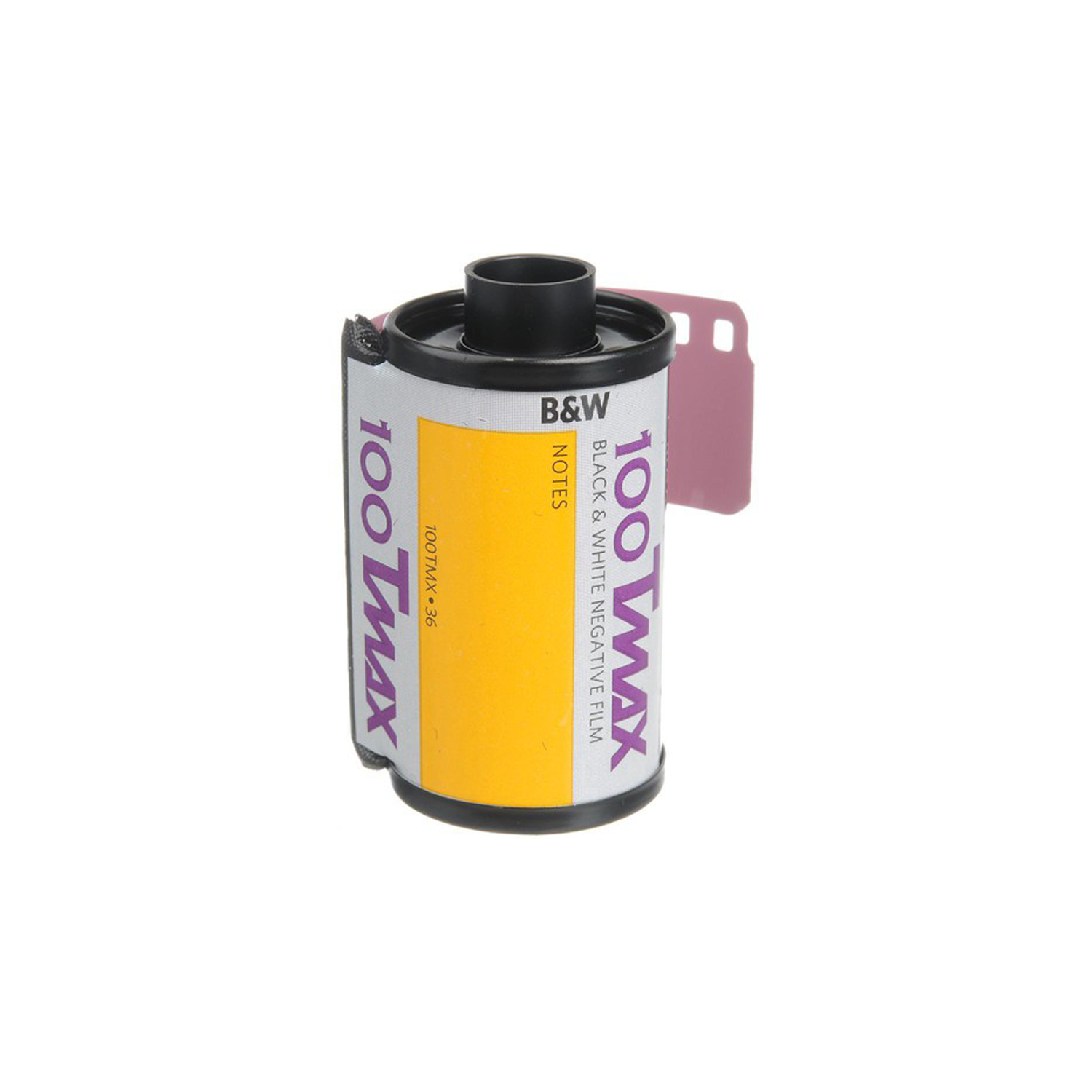 Kodak Professional T-Max 100 Film négatif noir et blanc - Film de 35 mm - 36 expositions