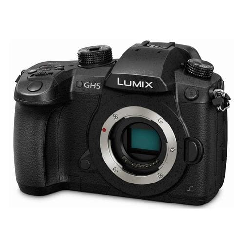 Panasonic Lumix GH5 Mirrorless Camera | 4K 60p | ExcellentPhoto.ca