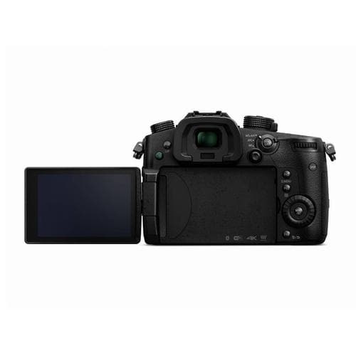 Panasonic Lumix GH5 Mirrorless Camera | 4K 60p | ExcellentPhoto.ca