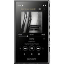 Sony Walkman NW-A105 - Digital player - Android 9.0 (Pie) - 16 GB