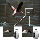 Sony FE 200–600 mm F5.6–6.3 OSS G Lens