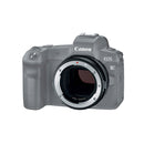 Canon Control Ring Mount Adapter EF-EOS R