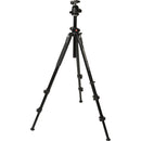 Manfrotto MK290DUA3-BH 290 Dual Aluminum Tripod with Ball Head Kit