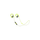 Jbl reflect contour 2 bluetooth wireless in ear headphones – green