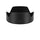 Canon RF 28–70mm F2 L USM Lens