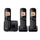 Panasonic KXTGC213B
