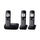 Panasonic KXTGD223B