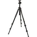 Manfrotto MK290DUA3-BH 290 Dual Aluminum Tripod with Ball Head Kit