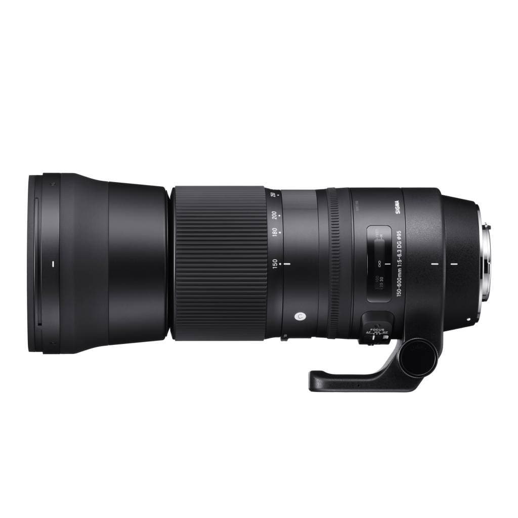 シグマ 150-600mm F5-6.3 DG OS HSM EOキヤノンEF Sigma 150-600mm f/5-6.3 DG OS HSM Contemporary Lens for Canon EF