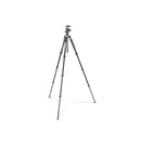 Manfrotto befree Advanced Travel Aluminum Tripod with 494 Ball Head - Black