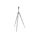 Manfrotto befree Advanced Travel Aluminum Tripod with 494 Ball Head - Black