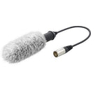 Sony XLR-K2M Adapter Kit and Microphone
